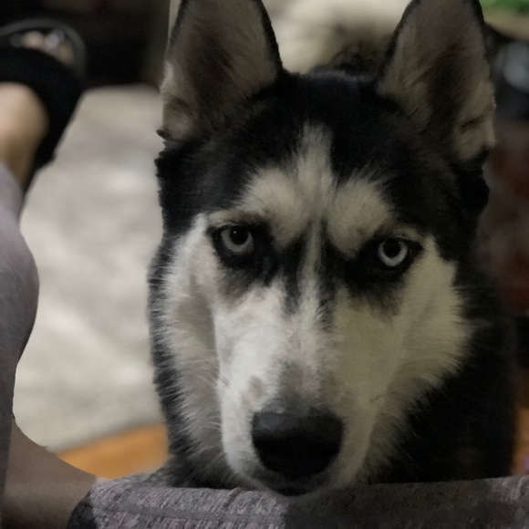 Meet your Posher, Edith - Picture 1 of 1